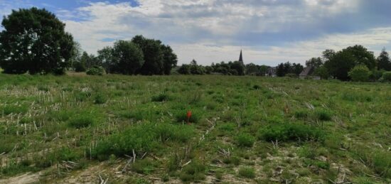 Terrain à bâtir à Fourmetot, Normandie