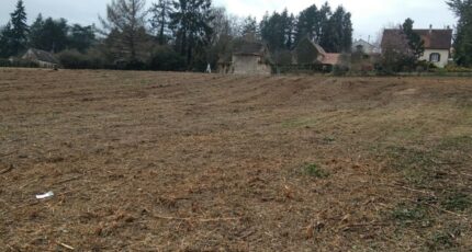 Fréville Terrain à bâtir - 2385208-11159annonce120260108X9Xub.jpeg Les Maisons Extraco