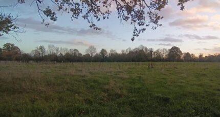 Saint-Philbert-des-Champs Maison neuve - 2386309-11216annonce120260109FR9xq.jpeg Les Maisons Extraco