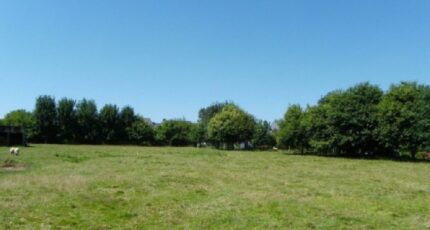 Le Faulq Maison neuve - 2386316-11216annonce120260109SKhqD.jpeg Les Maisons Extraco