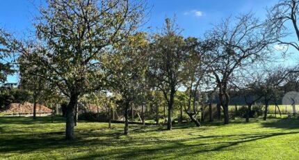 Émalleville Maison neuve - 2388131-11219annonce120260105f4KG7.jpeg Les Maisons Extraco