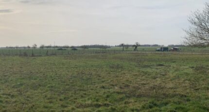 Jumelles Maison neuve - 2388106-11219annonce120260105uDHPe.jpeg Les Maisons Extraco