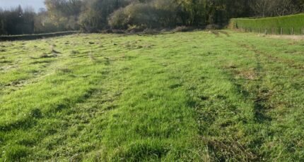 Bonneville-la-Louvet Maison neuve - 2387771-11216annonce120260109312l7.jpeg Les Maisons Extraco