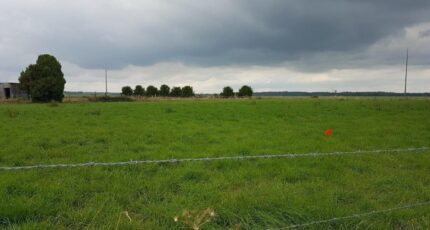 Amfreville-la-Campagne Maison neuve - 2390221-4102annonce120260113tnHn6.jpeg Les Maisons Extraco