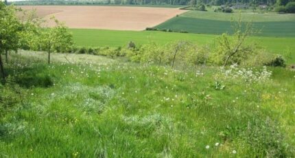 Rétonval Maison neuve - 2392408-11690annonce1202601140azhe.jpeg Les Maisons Extraco