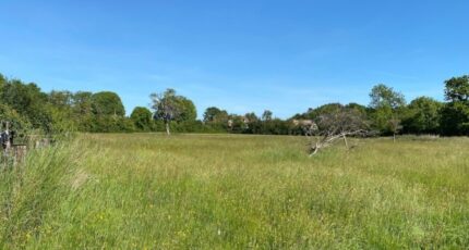 Auberville Maison neuve - 2394822-11215annonce120260113xp8vW.jpeg Les Maisons Extraco