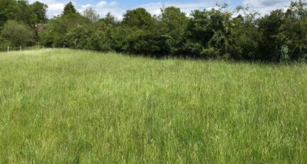 Reuilly Maison neuve - 2396305-11590annonce120260113ziCoU.jpeg Les Maisons Extraco