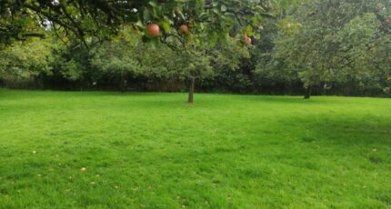 Beuzeville Maison neuve - 2396866-4101annonce120260118P9cCD.jpeg Les Maisons Extraco