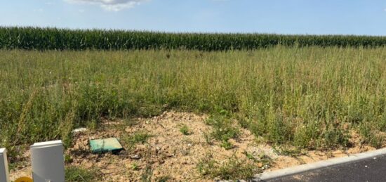 Terrain à bâtir à Allouville-Bellefosse, Normandie