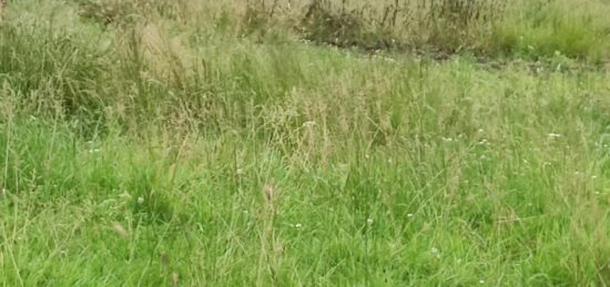 Terrain à bâtir à Étrépagny, Normandie
