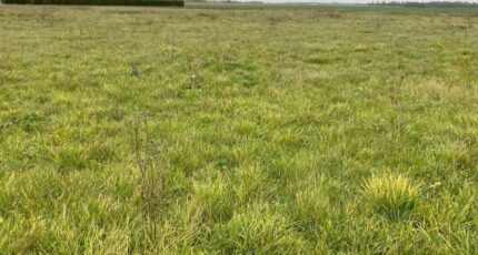 Damville Terrain à bâtir - 2401442-11590annonce120260122gcuxf.jpeg Les Maisons Extraco