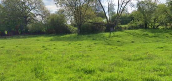 Terrain à bâtir à Roncherolles-en-Bray, Normandie