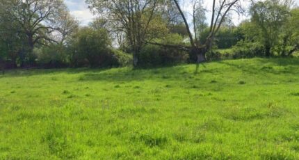 Roncherolles-en-Bray Maison neuve - 2401273-11690annonce120260122bTMB9.jpeg Les Maisons Extraco