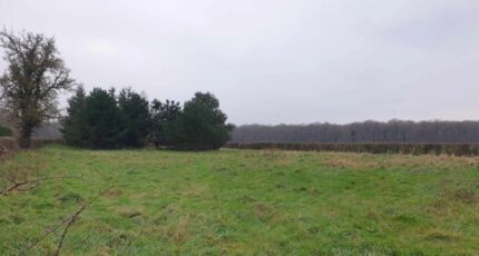 Beaumont-le-Roger Maison neuve - 2401417-11214annonce1202601204PK01.jpeg Les Maisons Extraco