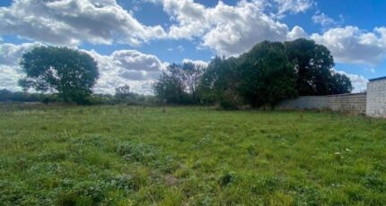 Burey Maison neuve - 2402366-11590annonce120260122rQVGK.jpeg Les Maisons Extraco