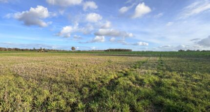 Mandres Maison neuve - 2405357-9696annonce120260124LPP8o.jpeg Les Maisons Extraco