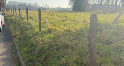 Bréauté Terrain à bâtir - 2407527-11217annonce120260127BeZE4.jpeg Les Maisons Extraco