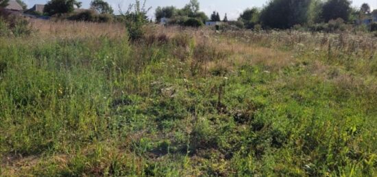Terrain à bâtir à Saint-Pierre-des-Fleurs, Normandie