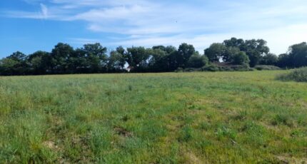 Pont-l'Évêque Maison neuve - 2409447-11215annonce120260127fLTWc.jpeg Les Maisons Extraco