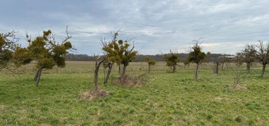 Terrain à bâtir à La Couture-Boussey, Normandie