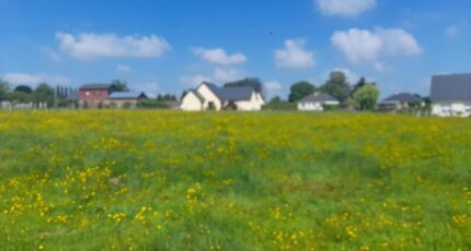 L'Hôtellerie Maison neuve - 2411870-11215annonce120260127dw3Ww.jpeg Les Maisons Extraco