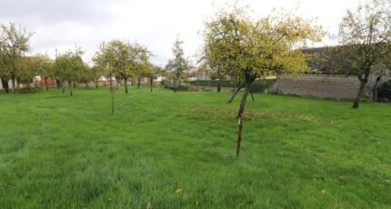 Ailly Maison neuve - 2407305-4102annonce120260126dfq6F.jpeg Les Maisons Extraco