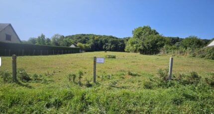 Toutainville Maison neuve - 2314088-11214annonce120251021OzShC.jpeg Les Maisons Extraco