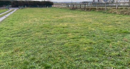 Saint-Pierre-lès-Elbeuf Terrain à bâtir - 2416226-4102annonce1202602032nmHI.jpeg Les Maisons Extraco