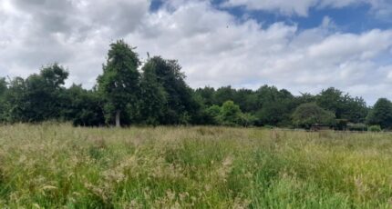 Fierville-les-Parcs Maison neuve - 2419806-11215annonce120260205mrnH1.jpeg Les Maisons Extraco