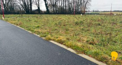 Fauville-en-Caux Maison neuve - 2423538-11217annonce120260209FvMeH.jpeg Les Maisons Extraco