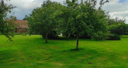 Tourny Maison neuve - 2426783-5689annonce120260212sNpO3.jpeg Les Maisons Extraco