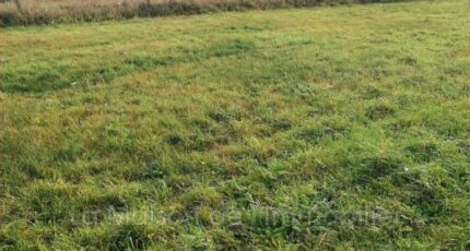 Saint-Pierre-lès-Elbeuf Maison neuve - 2422321-4102annonce120260209cFM06.jpeg Les Maisons Extraco