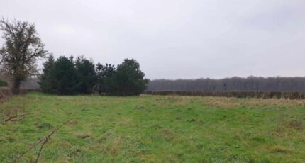 Beaumont-le-Roger Terrain à bâtir - 2426535-11214annonce120260212i72Bh.jpeg Les Maisons Extraco