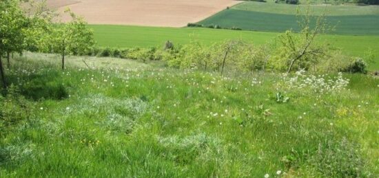 Terrain à bâtir à Rétonval, Normandie