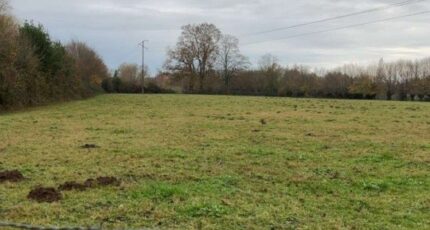 Forges-les-Eaux Maison neuve - 2427842-11690annonce320260213UV0Bo.jpeg Les Maisons Extraco