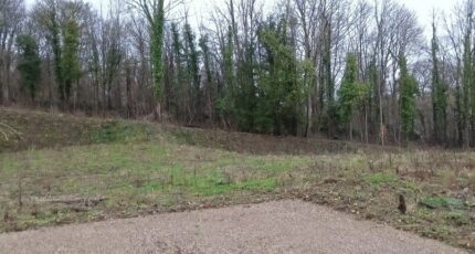 Maule Terrain à bâtir - 2428302-5689annonce120260213U1EkH.jpeg Les Maisons Extraco