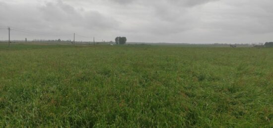 Terrain à bâtir à Menneval, Normandie