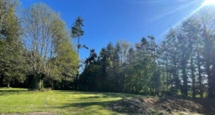 Saint-Georges-du-Vièvre Maison neuve - 2429355-11214annonce120260214qbPWQ.jpeg Les Maisons Extraco