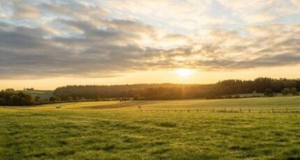 Gauciel Maison neuve - 2429476-11590annonce120260214WAt16.jpeg Les Maisons Extraco