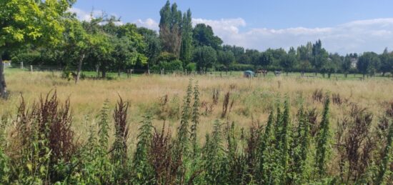 Terrain à bâtir à Saint-Martin-aux-Chartrains, Normandie