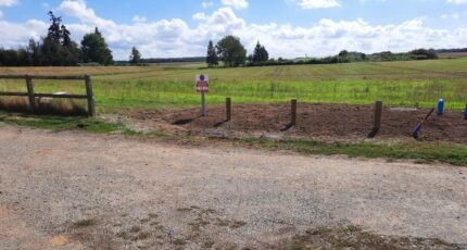 Grossœuvre Terrain à bâtir - 2433250-11590annonce120260218oelPR.jpeg Les Maisons Extraco