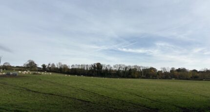 Villers-sur-Mer Maison neuve - 2434527-11215annonce120260218xuUDP.jpeg Les Maisons Extraco