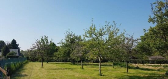 Terrain à bâtir à Saint-Pierre-des-Fleurs, Normandie