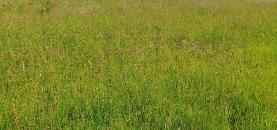 Terrain à bâtir à , Eure