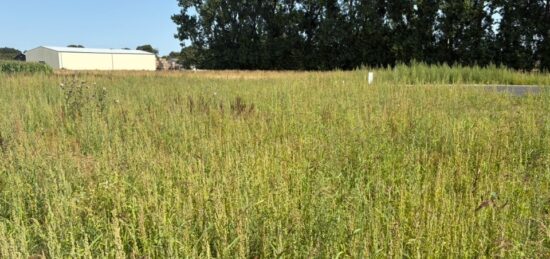Terrain à bâtir à , Seine-Maritime
