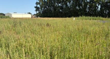 Allouville-Bellefosse Maison neuve - 2438968-11217annonce2202602245okep.jpeg Les Maisons Extraco