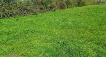 Compainville Terrain à bâtir - 2438923-11690annonce120260224CscB1.jpeg Les Maisons Extraco