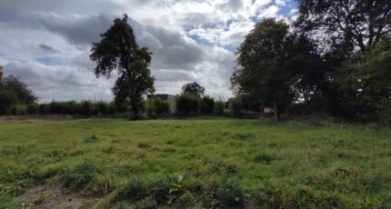 Fort-Moville Maison neuve - 2444425-11214annonce320260227xdeQg.jpeg Les Maisons Extraco