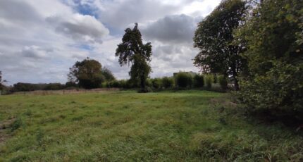 Fort-Moville Maison neuve - 2444428-11214annonce420260227UALNE.jpeg Les Maisons Extraco