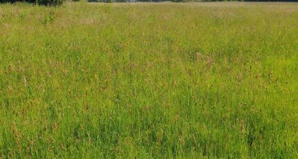 Boulleville Maison neuve - 2443962-11214annonce120260224sBwxe.jpeg Les Maisons Extraco